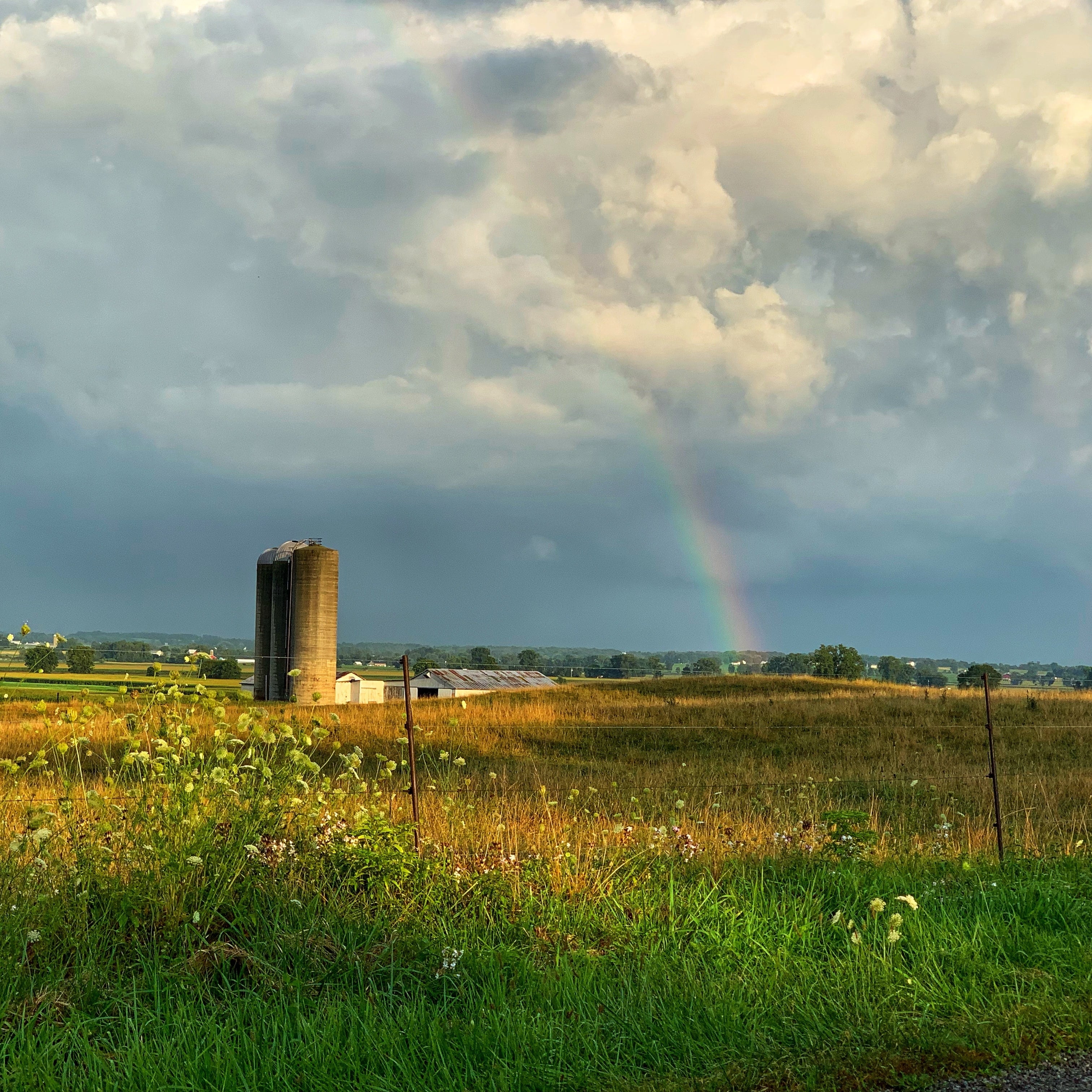 indiana