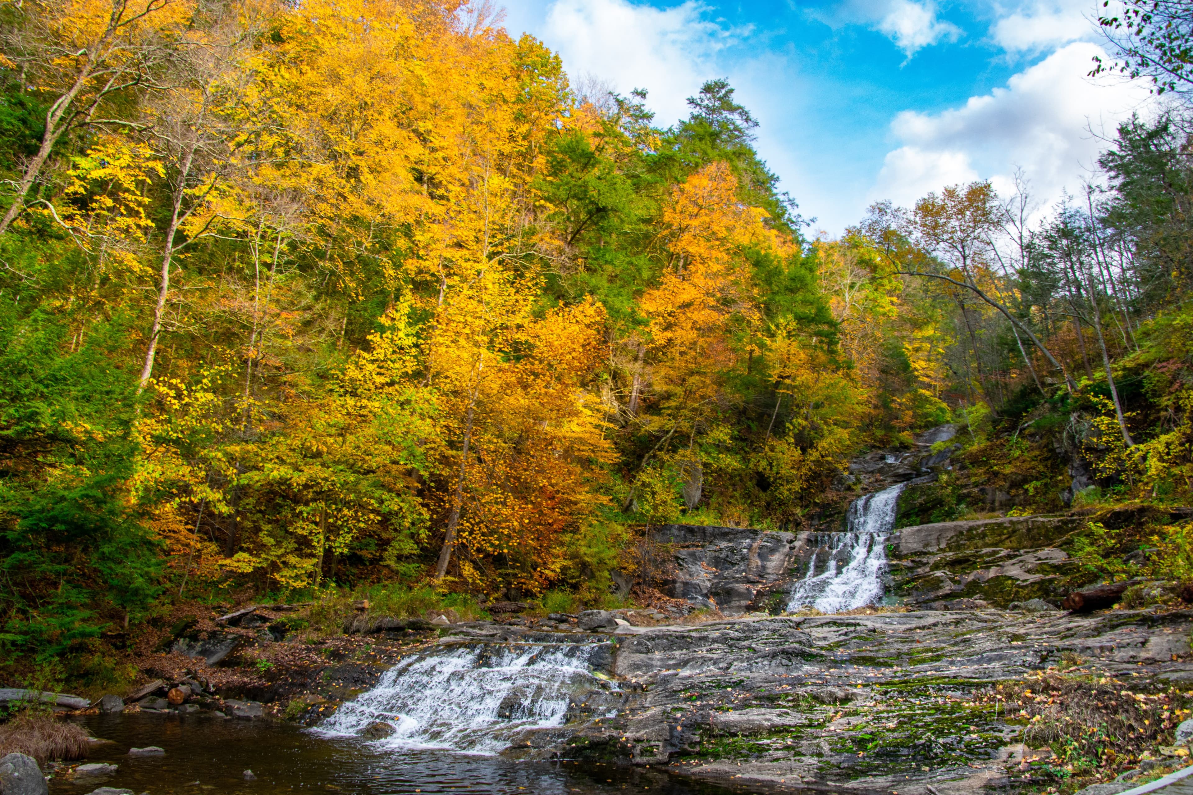 CampScanner | Secure Your Camping Spot in Connecticut's Federal Lands